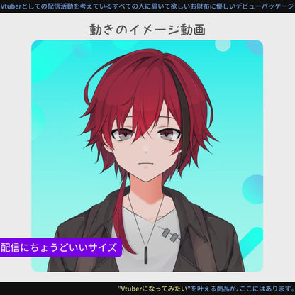 【コスパ最強！？】Live2D制作パッケージ復刻版！始リの物語