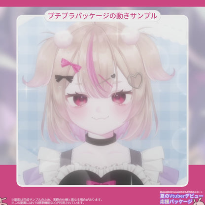 【Live2Dモデル作成】選べる！夏のVtuberデビュー応援パッケージ